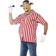 bully fancy dress costume